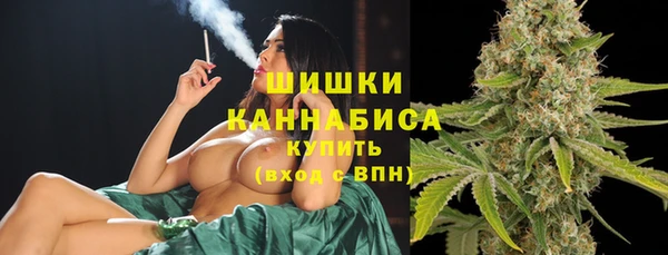 мдпв Гусиноозёрск