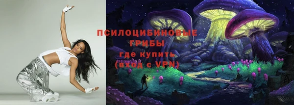 соль ск Гусев