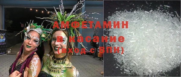 стаф Дмитровск