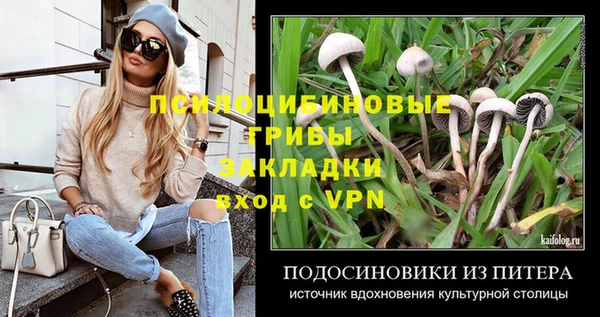 соль ск Гусев