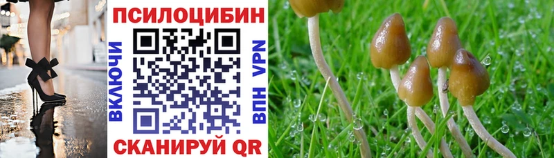 Псилоцибиновые грибы мицелий  Духовщина 
